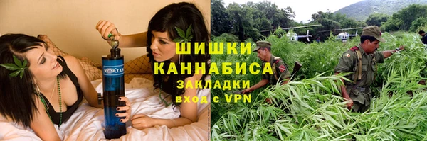 мдпв Краснотурьинск