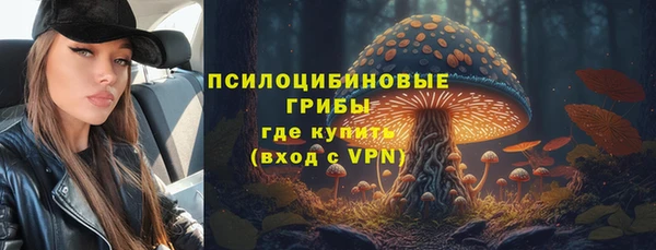 мдпв Краснотурьинск