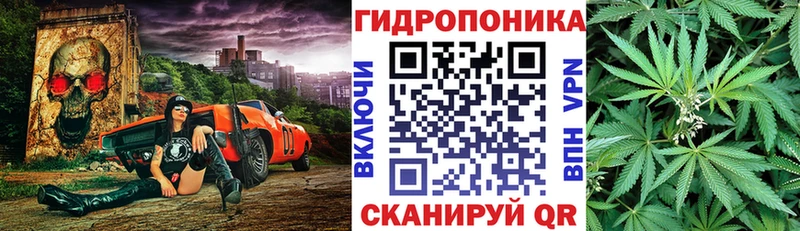 Купить  Камешково  Шишки марихуана семена 